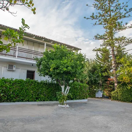 Theodora Location In Next To The Party Area Laganas